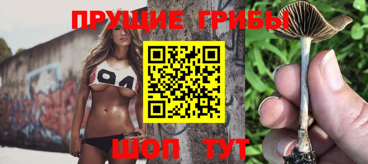 Псилоцибиновые грибы мухоморы Хабаровск